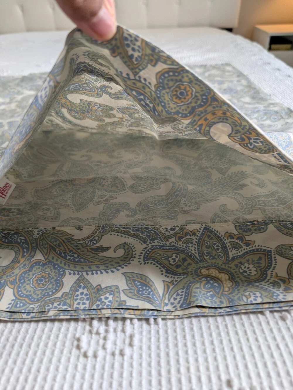 Better Homes and Gardens Paisley Green Cream Pillow Covers Size 19.5